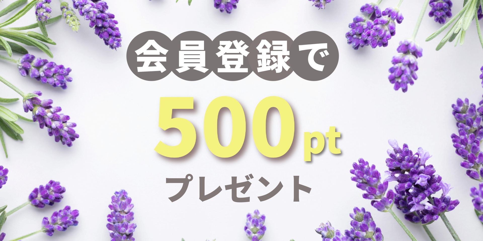 �����Ͽ��500pt�ץ쥼���
