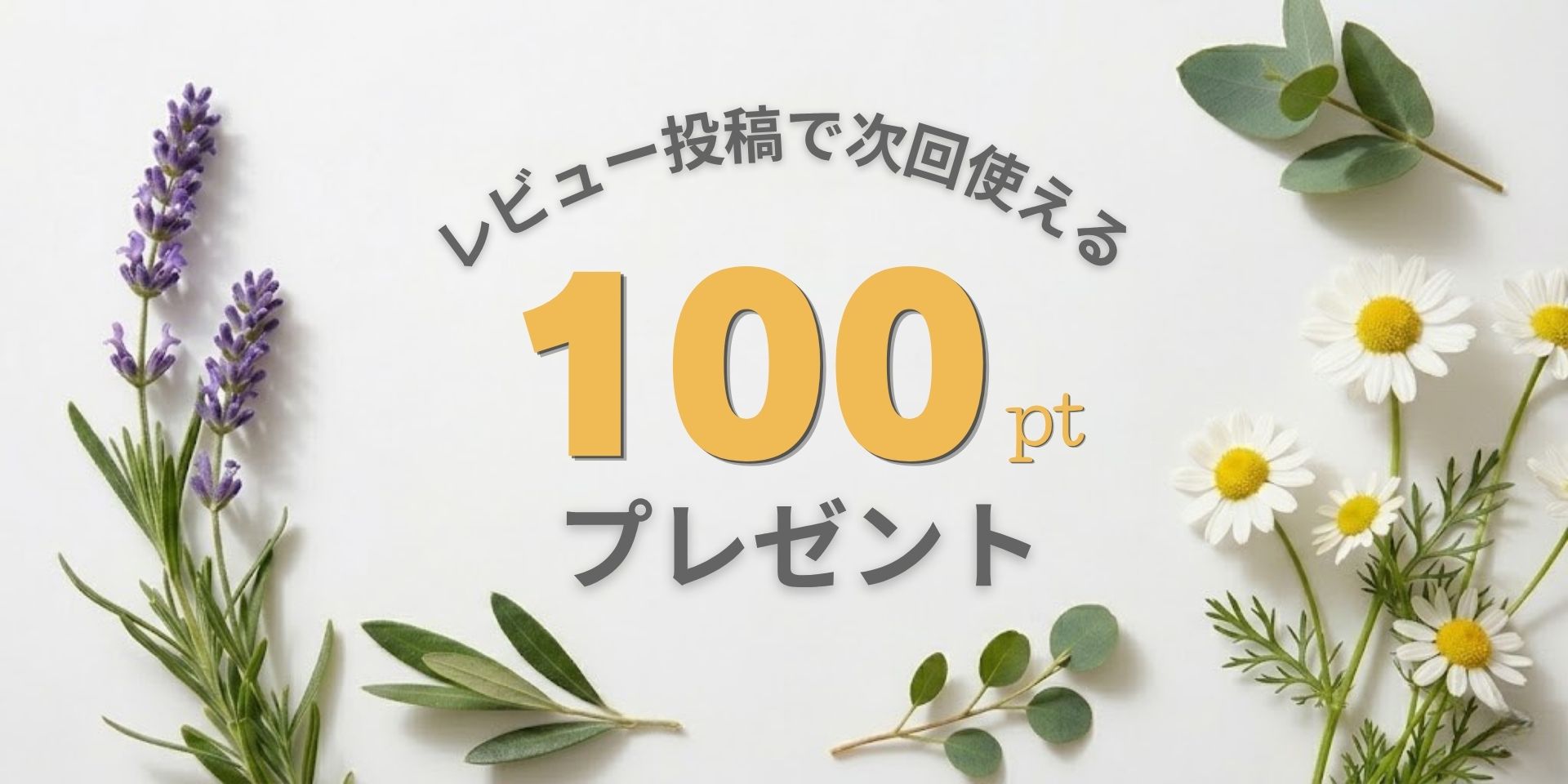��ӥ塼��Ƥ�100pt�ץ쥼���